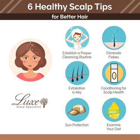 Daily Hair Care Routine for Maintaining a Fresh Scalp