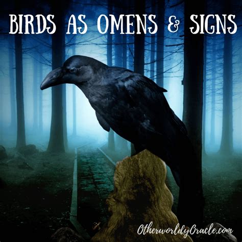 Dark Feathers, Dark Dreams: Connecting Black Birds to Ominous Omens