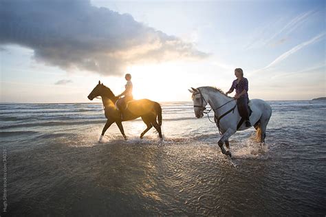 Daydreaming about Equine Companions on a Seaside Oasis