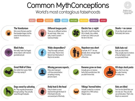 Debunking False Reports and Misconceptions Surrounding the Enigmatic Personality