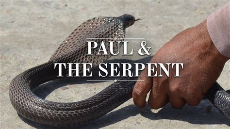 Deciphering the Act of Being Bitten by a Serpent in a Reverie