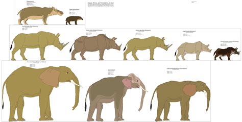 Deciphering the Actions and Behaviors of Visionary Pachyderms