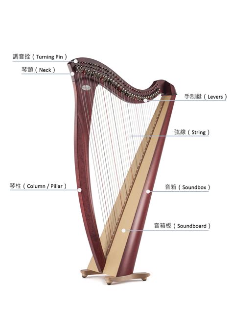 Deciphering the Captivating Resonance of the Harp through its Structure and Design