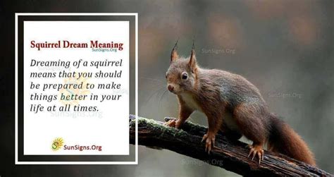 Deciphering the Cryptic Message: Unraveling the Symbolism of Squirrel Dreams