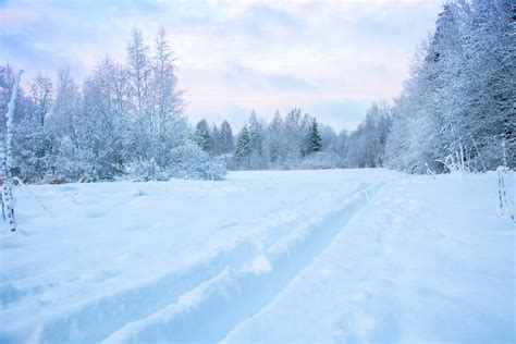 Deciphering the Emotional Significance of Dreaming about Trimming Snowy Locks