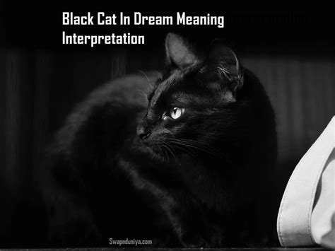 Deciphering the Enigma: Exploring the Significance of Seeing an Unattractive Feline in Your Dreams