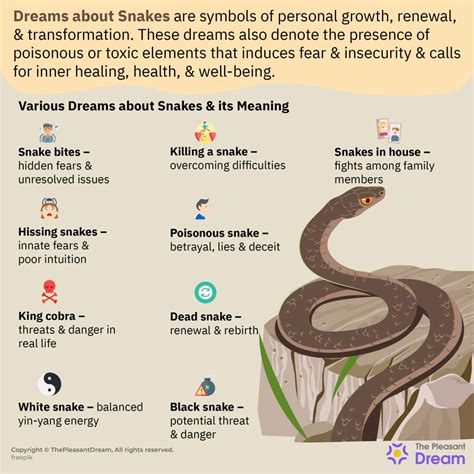 Deciphering the Hidden Meanings in a Dream Involving a Tortoise and Snake