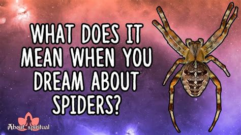 Deciphering the Intricate Significance of Spider Dreams