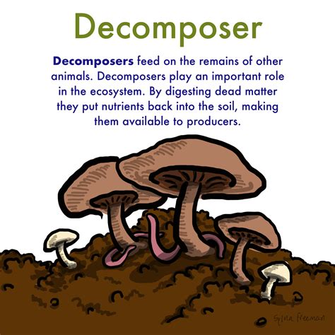 Deciphering the Meaning of Decomposing Produce in the World of Dreams