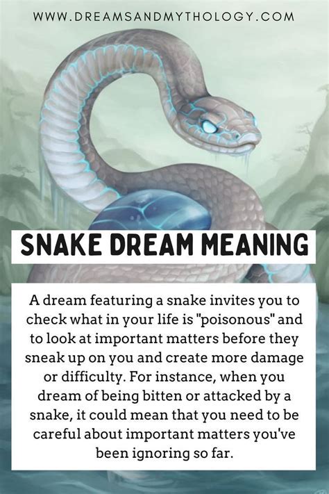 Deciphering the Message: Decoding the Meaning of a Dream Featuring a Confined Serpent