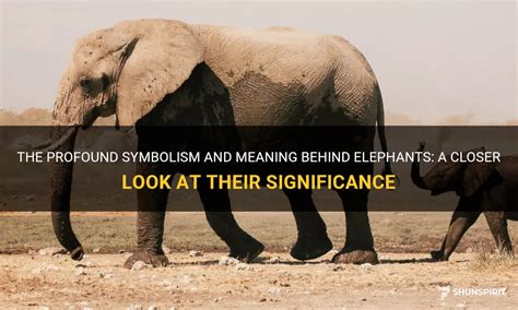 Deciphering the Profound Significance of Elephants in Subconscious Imagery