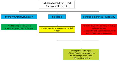 Deciphering the Requirement for a Cardiac Transplant: Identifying the Indicators