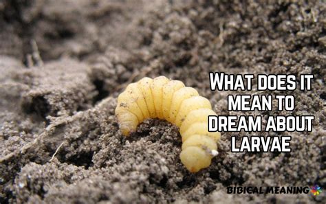 Deciphering the Significance of Consuming a Larva in Dreams