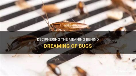 Deciphering the Significance of Excreting Insects in Dreams