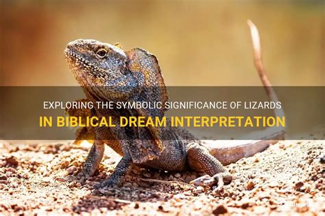 Deciphering the Significance of Lizards in Dreams: Understanding their Symbolic Representation