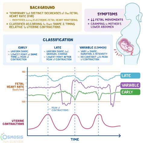 Deciphering the Significance of a Maternal Cardiac episode in the Analysis of Dreams