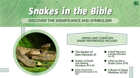 Deciphering the Signs: Unveiling the Significance of an Intense Serpent