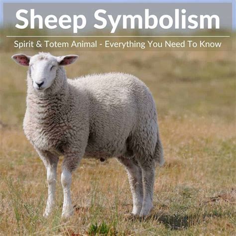 Deciphering the Symbolic Depiction of Sheep in Dreams