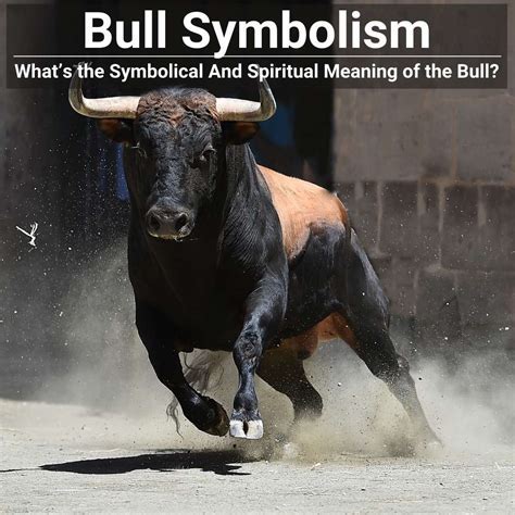 Deciphering the Symbolic Significance: Analyzing the Meaning behind a Cattle Encounter