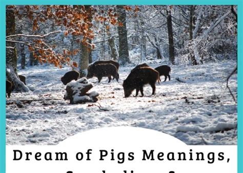 Deciphering the Symbolism: Exploring the Meanings Behind Boar Dreams