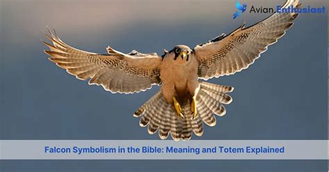 Deciphering the Symbolism: Gaining Insight into the Striking Encounter