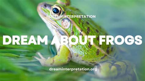 Deciphering the Symbolism of Frogs: Exploring the Transition from Fairy Tales to Real Life