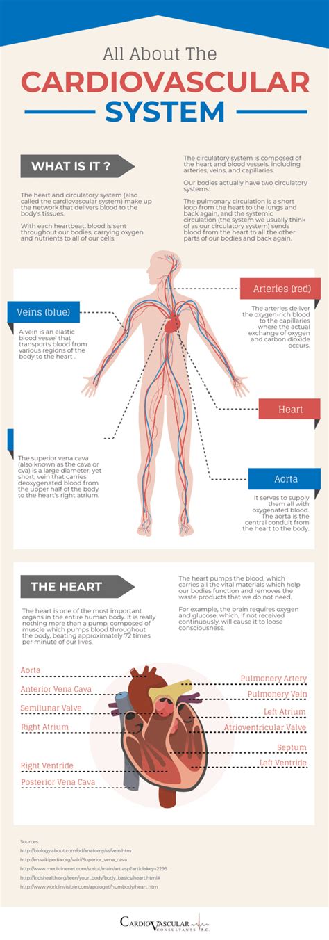 Deciphering the Symbolism of the Cardiac System and Medical Procedures in Dreams