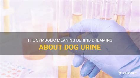 Deciphering the Symbols: Significance Behind Dreams Related to Feline Urine