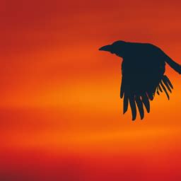 Decoding Crow Pecking: Unveiling the Symbolic Meaning of Change and Transformation