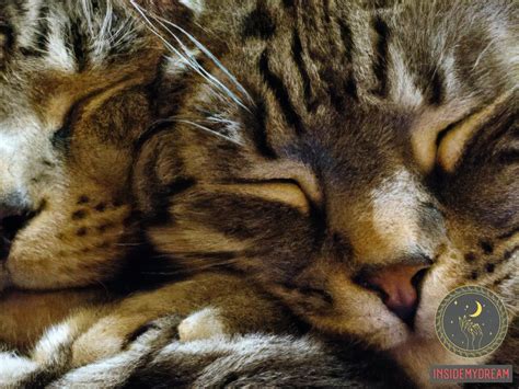 Decoding Dreams: Understanding the Significance of Felines in Dream Interpretation