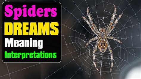 Decoding Spider Symbolism: Harnessing Dream Journals and Interpretation Techniques