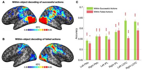 Decoding Various Actions and Outcomes within the Dream