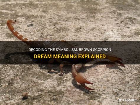 Decoding Various Behaviors Exhibited by a Brown Scorpion in Dreams