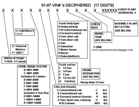 Decoding Vylette Vonne's Body Type