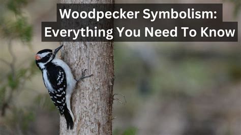 Decoding Woodpecker Dreams: Analyzing Colors, Actions, and Surroundings