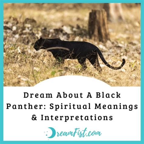 Decoding Your Subconscious: Understanding the Panther as a Symbol