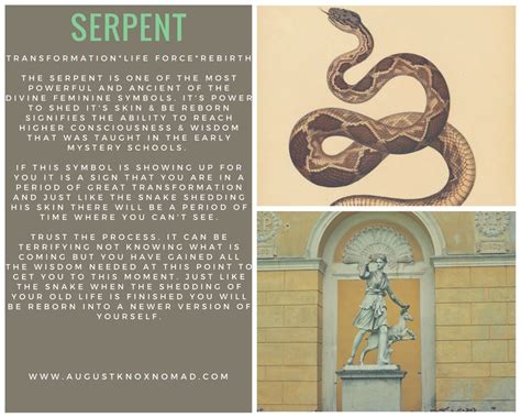 Decoding the Colors and Patterns of a Feminine Serpent in Dreams