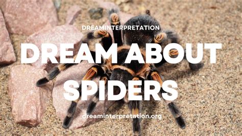 Decoding the Dream: Unraveling the Meaning Behind a Petite Tarantula