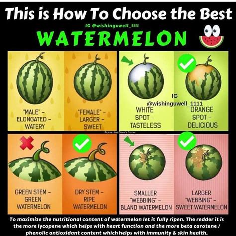 Decoding the Enigma: How to Select the Ideal Watermelon