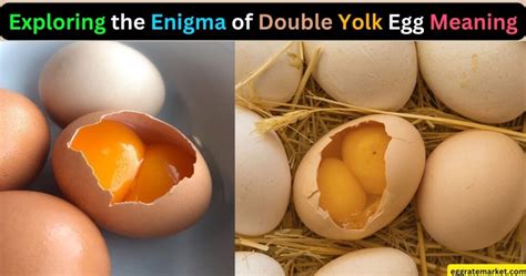 Decoding the Enigma of the Double Yolk Egg