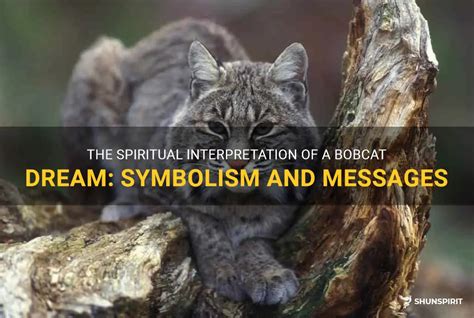 Decoding the Hidden Messages: Bobcats in Dream Interpretation