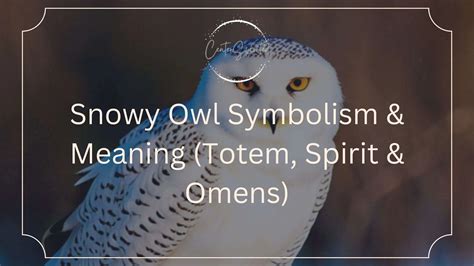 Decoding the Hidden Messages: Exploring the Symbolism behind Dreams of a Majestic Snowy Owl