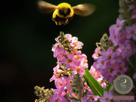 Decoding the Hidden Messages Concealed Within Bumblebee Dreams