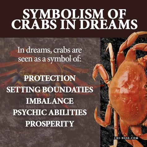 Decoding the Hidden Messages in Crab Dreams