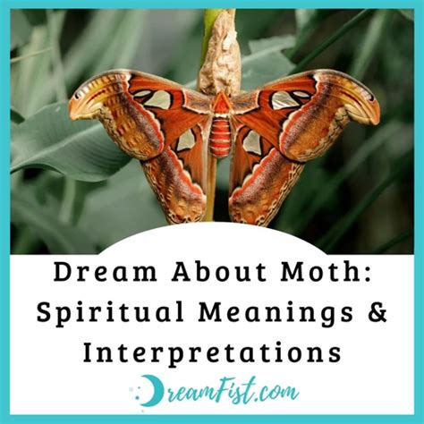 Decoding the Hidden Significance of Moth Eggs in Dreams: Unveiling the Enigmatic Meanings