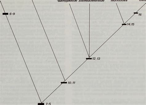 Decoding the Implications: Exploring the Enigmatic Messages from the Depths of the Unconscious