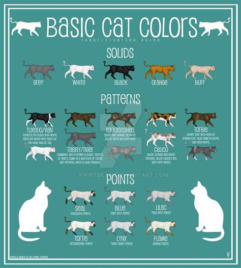 Decoding the Meaning: Deciphering the Significance of Various Colors in Cat Claws