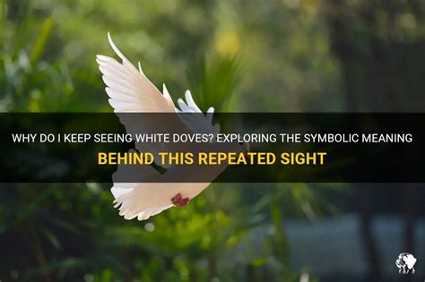 Decoding the Meaning behind a Descending Dove: Exploring Symbolic Significance