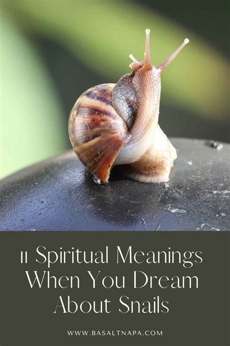 Decoding the Meaning of Different Types of Snail Dreams