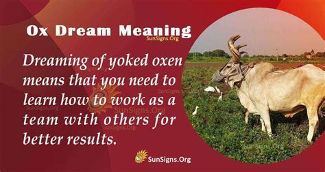 Decoding the Meaning of Encountering an Ox in Your Dreams: Interpretation for Personal Reflection